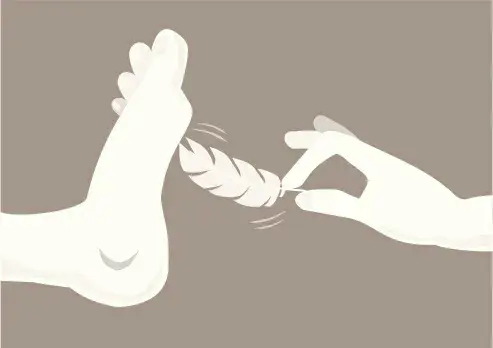 西檬之家ds关系的深度探索与实践指南 一