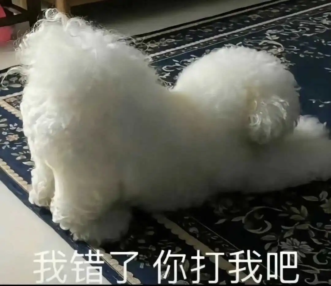西柠檬之家Tickle玩法全解析 一