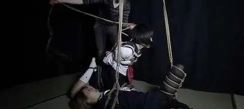 西檬之家字母圈的SUB是什么意思? 一