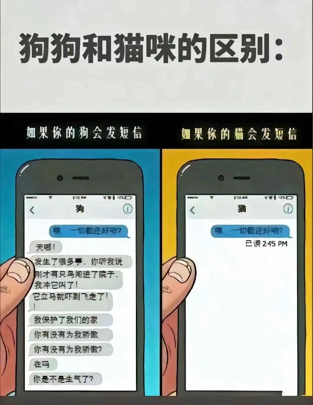 西檬之家字母圈女王是什么? 一