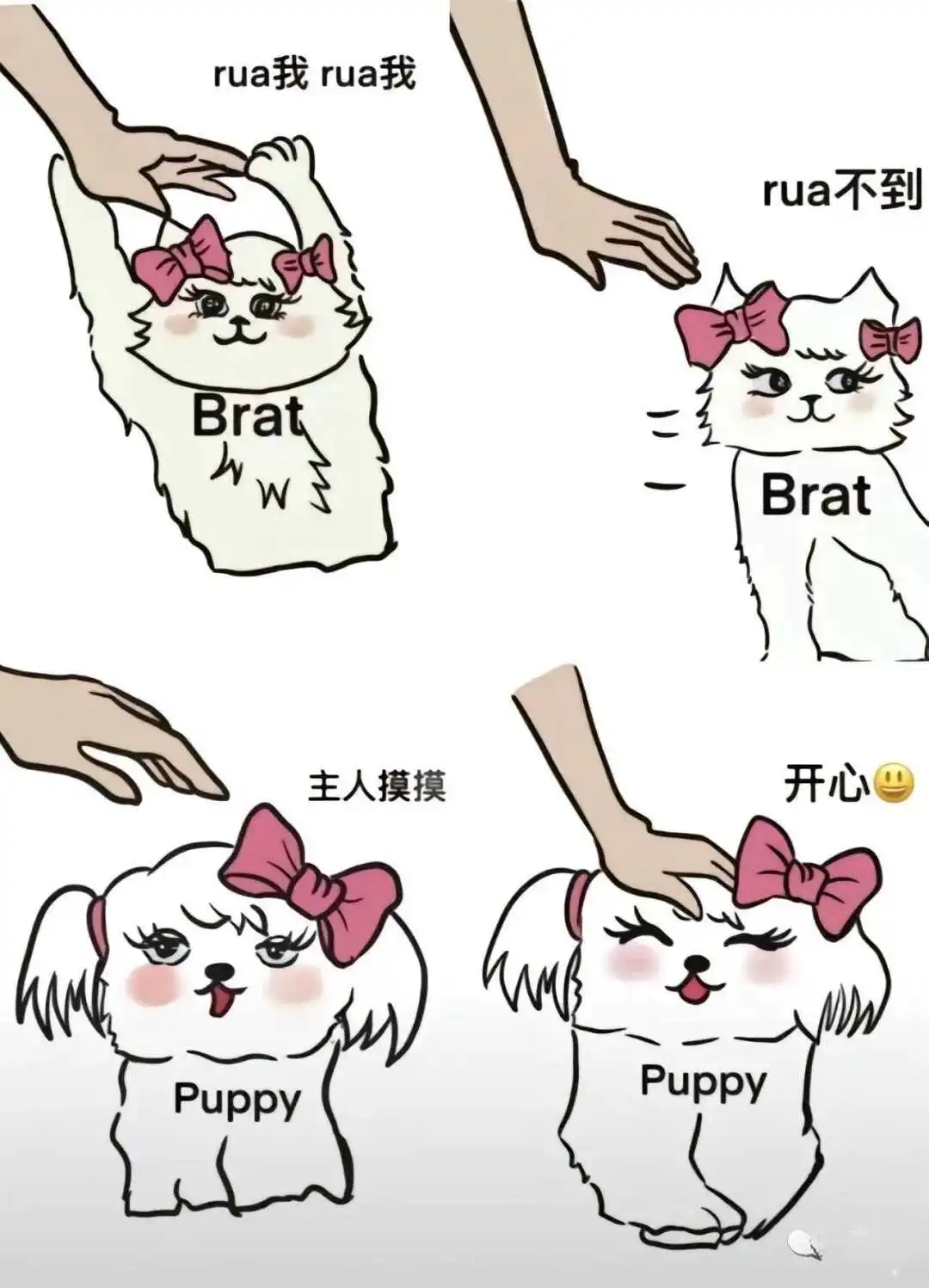 西檬之家K9是什么?字母圈新人入门指南 一