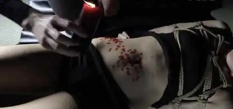 西檬之家BDSM入圈新人完全指南 一