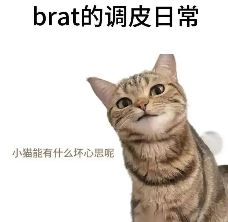 西檬之家字母圈Dom的定义与特质 一