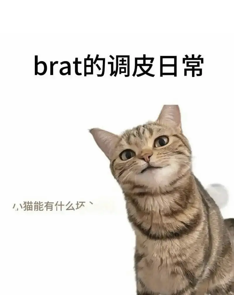 西檬之家BDSM是什么?字母圈新人入圈指南 一