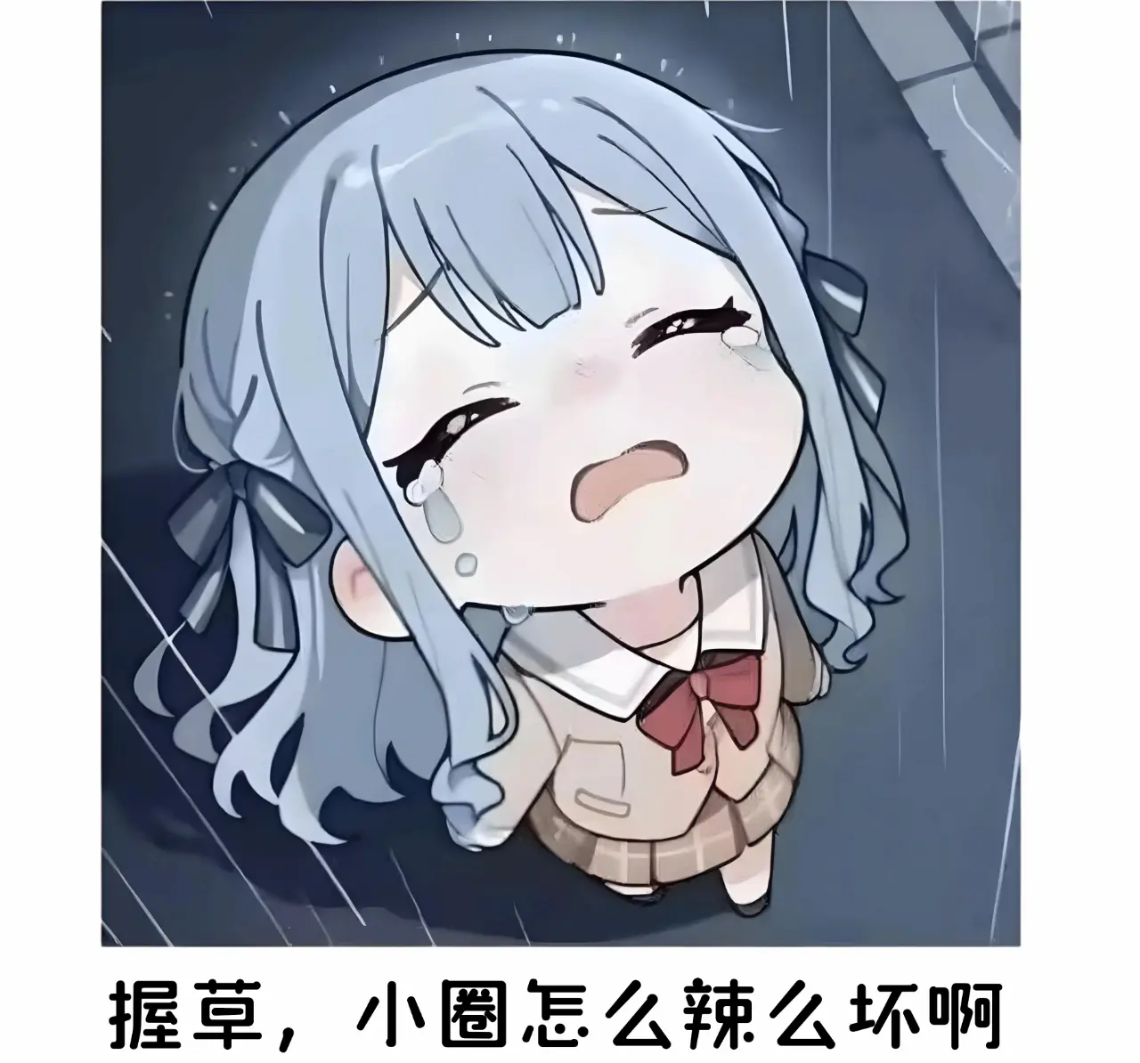 西檬之家s属性是什么意思?字母圈新人速览 一
