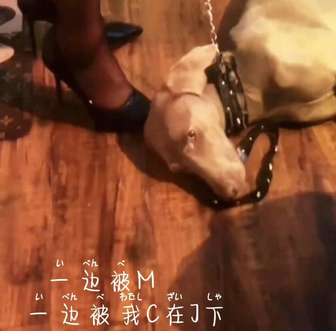 西檬之家圣水是什么?字母圈新人入圈 一