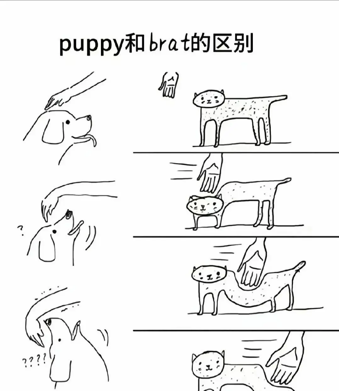 西檬之家斯慕圈是什么意思? 一