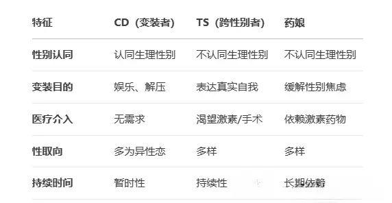 西檬之家k8是什么?字母圈猫奴指南 一