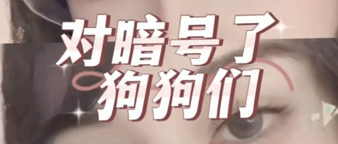 西檬之家字母圈女王是什么? 一