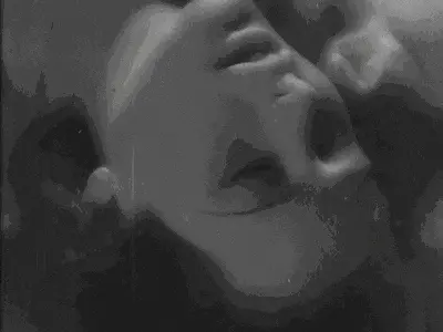 西檬之家k9犬系是什么?你的字母圈属性是k9吗? 一